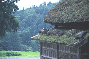 白馬（千石街道）-1