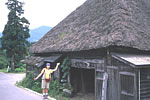 白馬（千石街道）-3