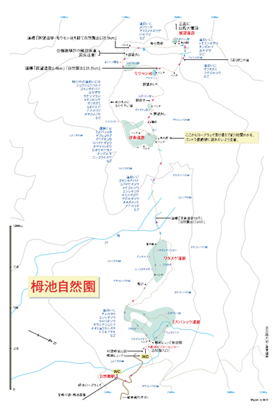 白馬栂池自然園map